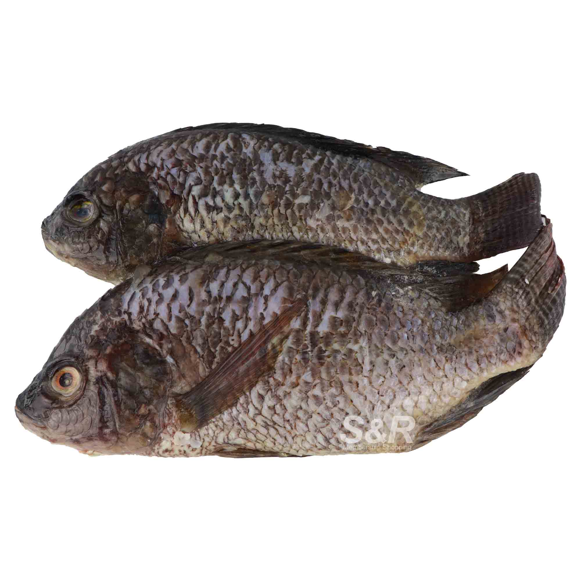 S&R Tilapia Small approx. 1.2kg